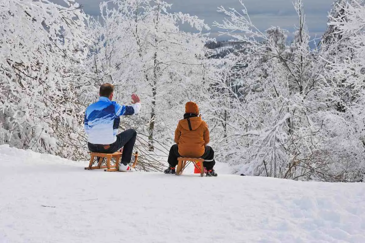 Adult and child toboggan down a freshly powdered ski slope. Photo by Lutz Thümmel from Pixabay