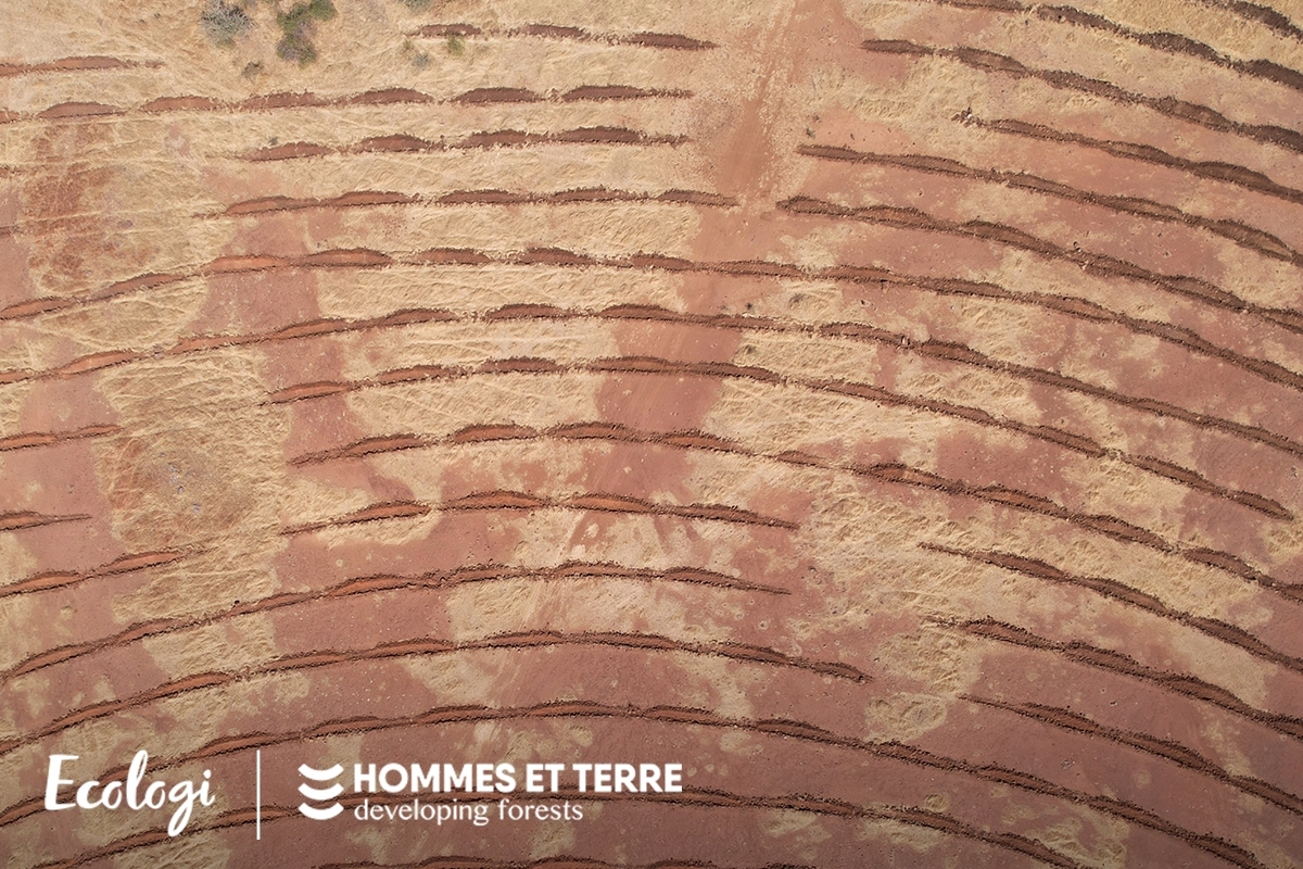 Wiederherstellung von Degradiertem Land im Senegal