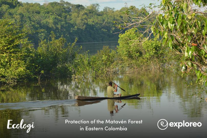 Matavén Forest Conservation: Protecting Colombia's Vital Amazon-Orinoco Transition Zone