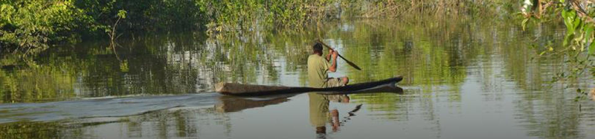 Conservation de la forêt de Matavén : Protection de la zone de transition vitale entre l'Amazonie et l'Orénoque en Colombie