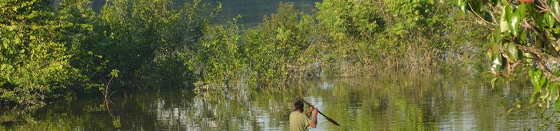 Matavén-Waldschutz: Schutz der lebenswichtigen Amazonas-Orinoco-Übergangszone in Kolumbien