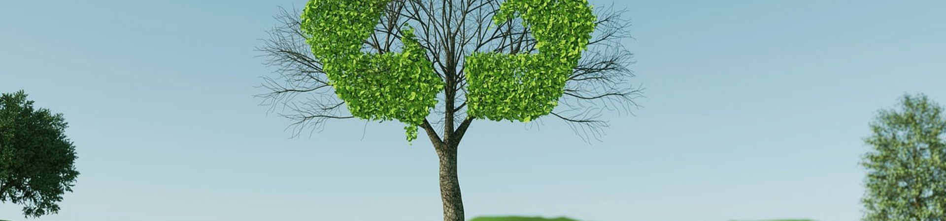Eco-Label Glossary