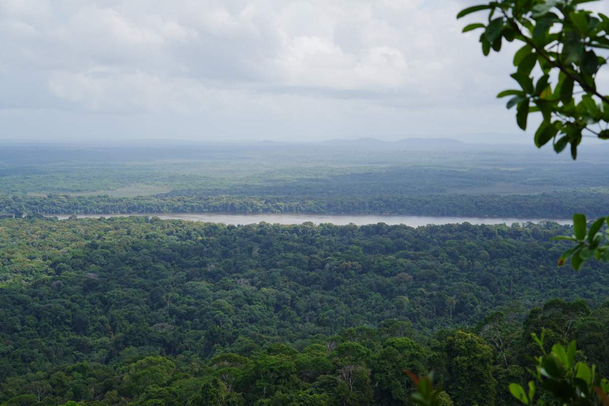 Guyana: een toonaangevende groene bestemming in Zuid-Amerika
