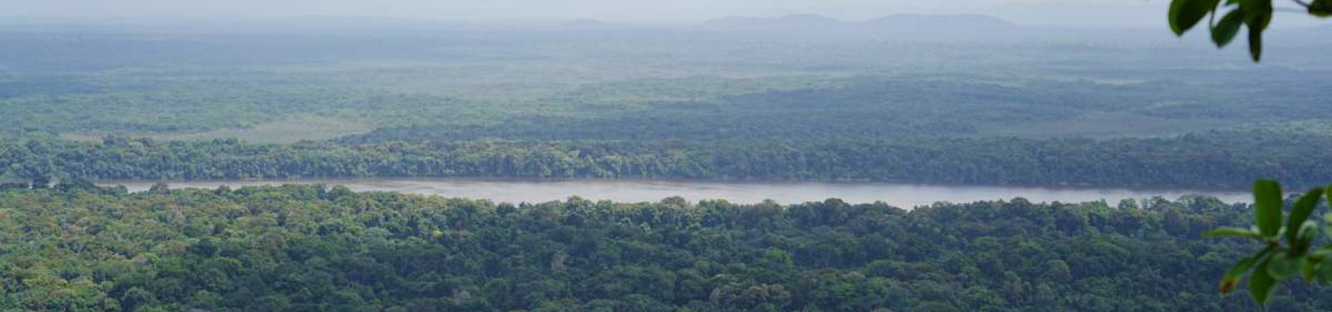 La Guyane : une destination écologique de premier plan en Amérique du Sud