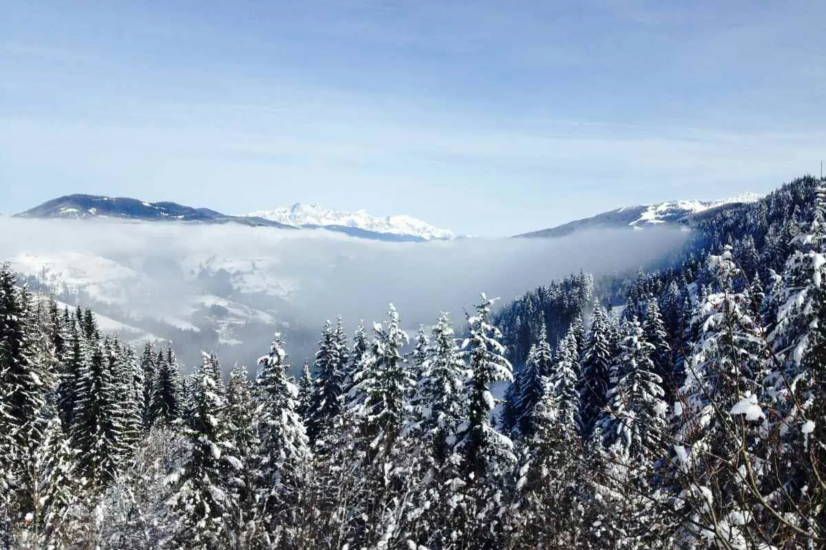Snow covered tree tops and mountain view in Austria. Photo by Emily Morter on Unsplash.
