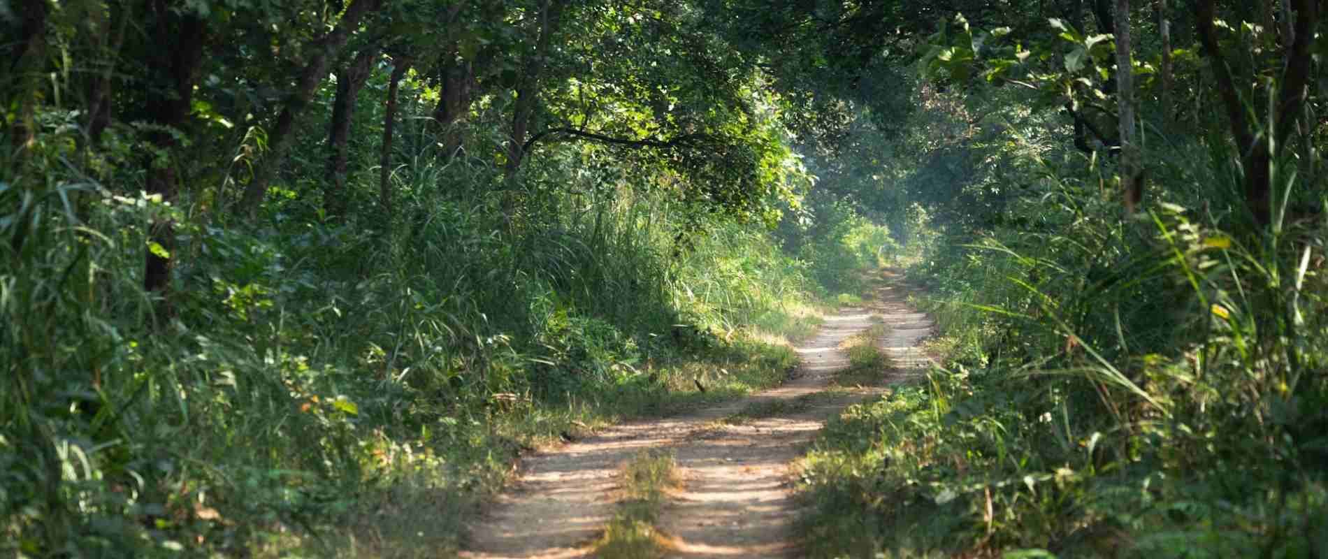 Sustainable Walking Safari in Nepal