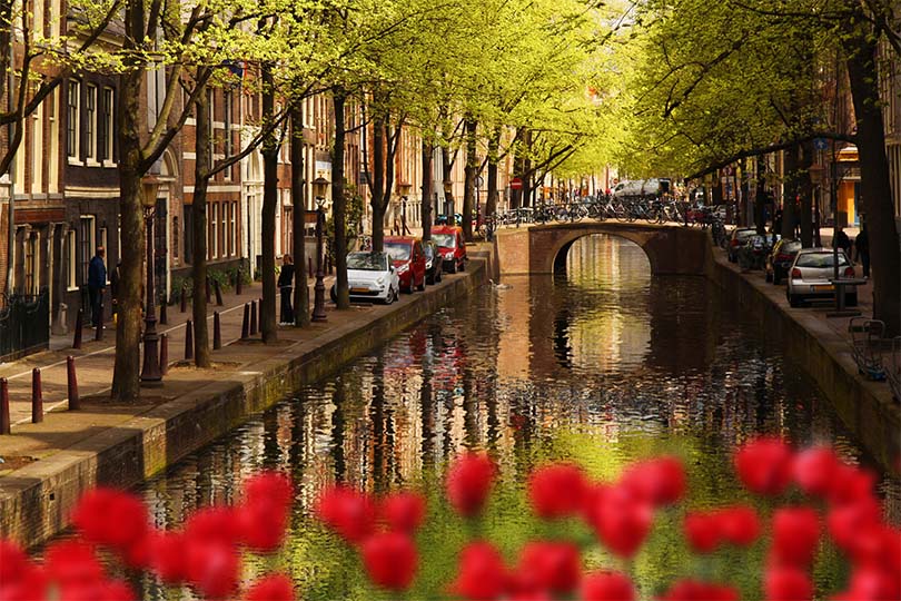 Canal d'Amsterdam et tulipes rouges sur un pont en Hollande Photographie de Extravagantni, Getty Images