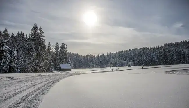 Blick auf eine Skipiste mit Wäldern und einer Hütte in der Ferne