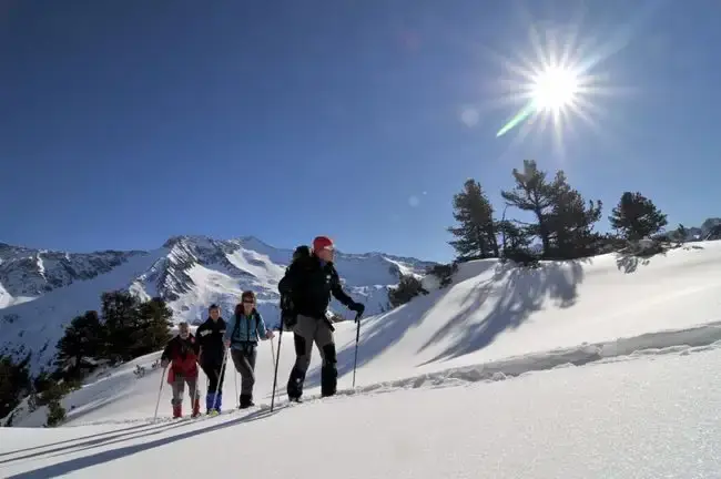 Gruppe von 4 Skilangläufern auf einem verschneiten Bergpfad