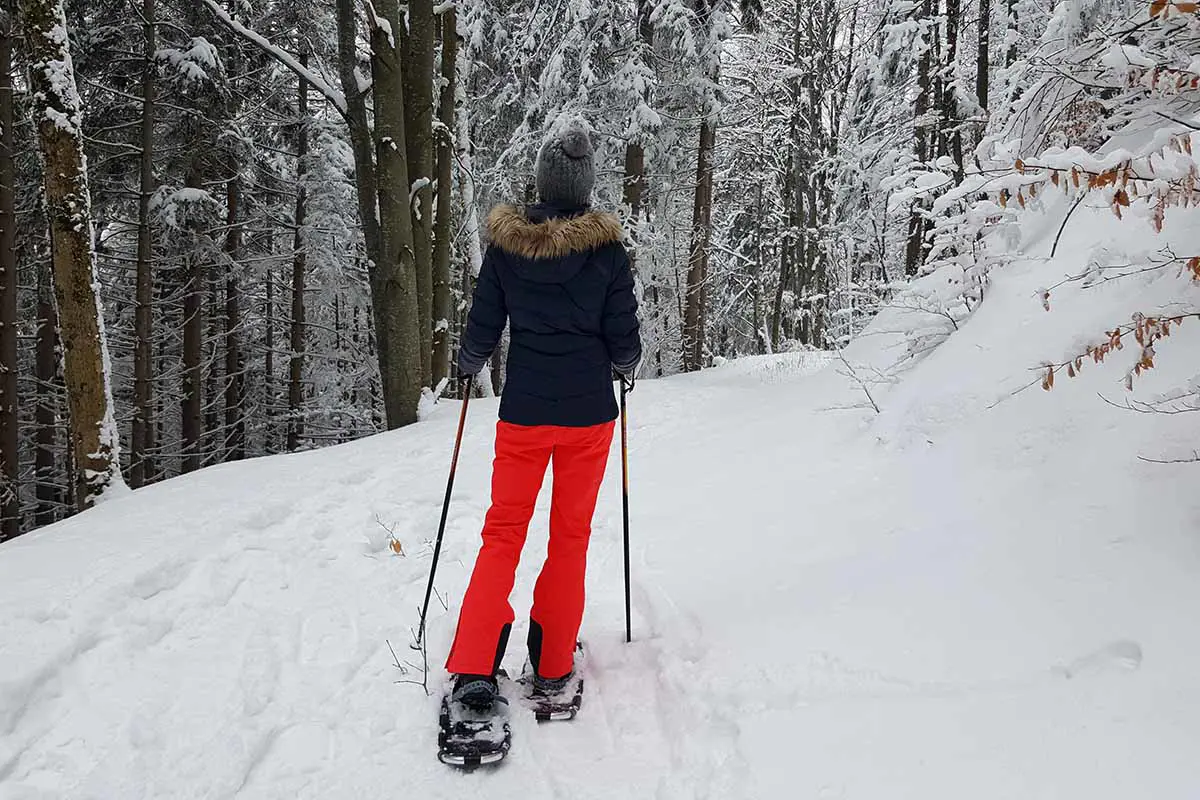 Woman Snowshoeing in Forest With Winter Landscape in Austria. Photo by Daniel Stuhlpfarrer, Pixabay.