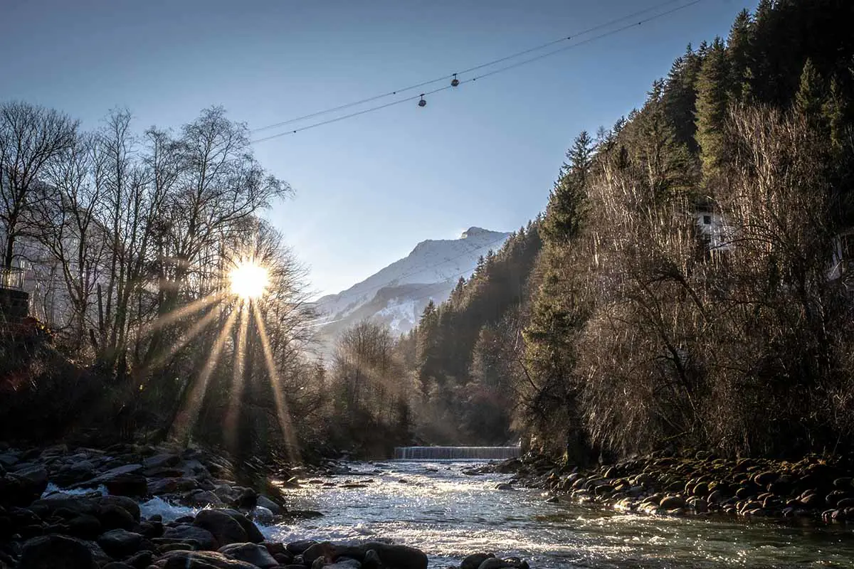 Arbres au bord d'une rivière de montagne à Mayrhofen, en Autriche. Photo de Craig Kydd, Unsplash.