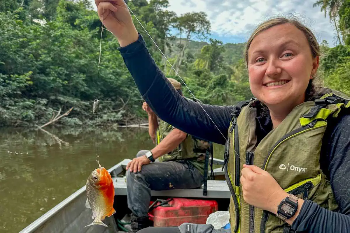 Catching a red bellied piranha on a boat trip with The Wild Tales inc Surama Eco Lodge, Guyana. Photo by Joel Chevaillier