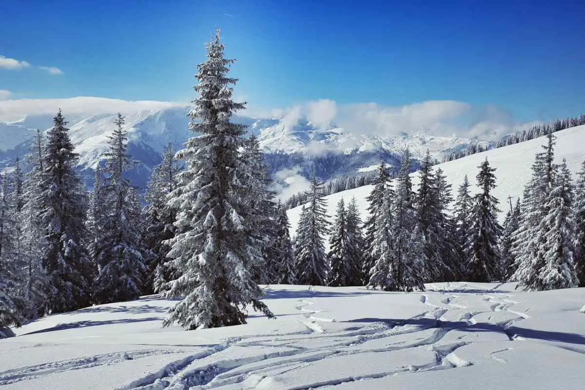 Snow covered mountain with ski tracks through the trees at Westendorf ski resort Austria. Photo by Kurtmonauni Winter Landscape from Pixabay