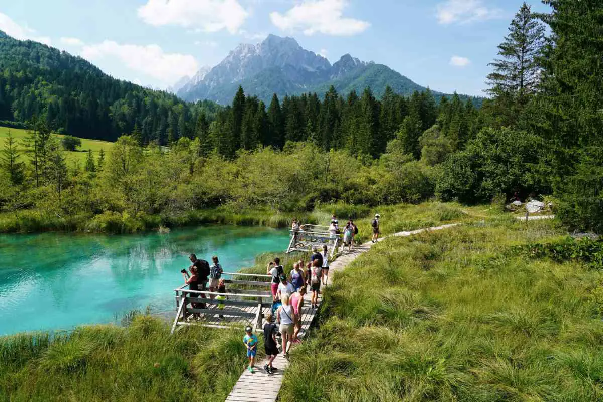 Hikers gather to admire the river view at Zelenci Nature Reserve, Slovenia. Photo by Simon Hermans from Unsplash