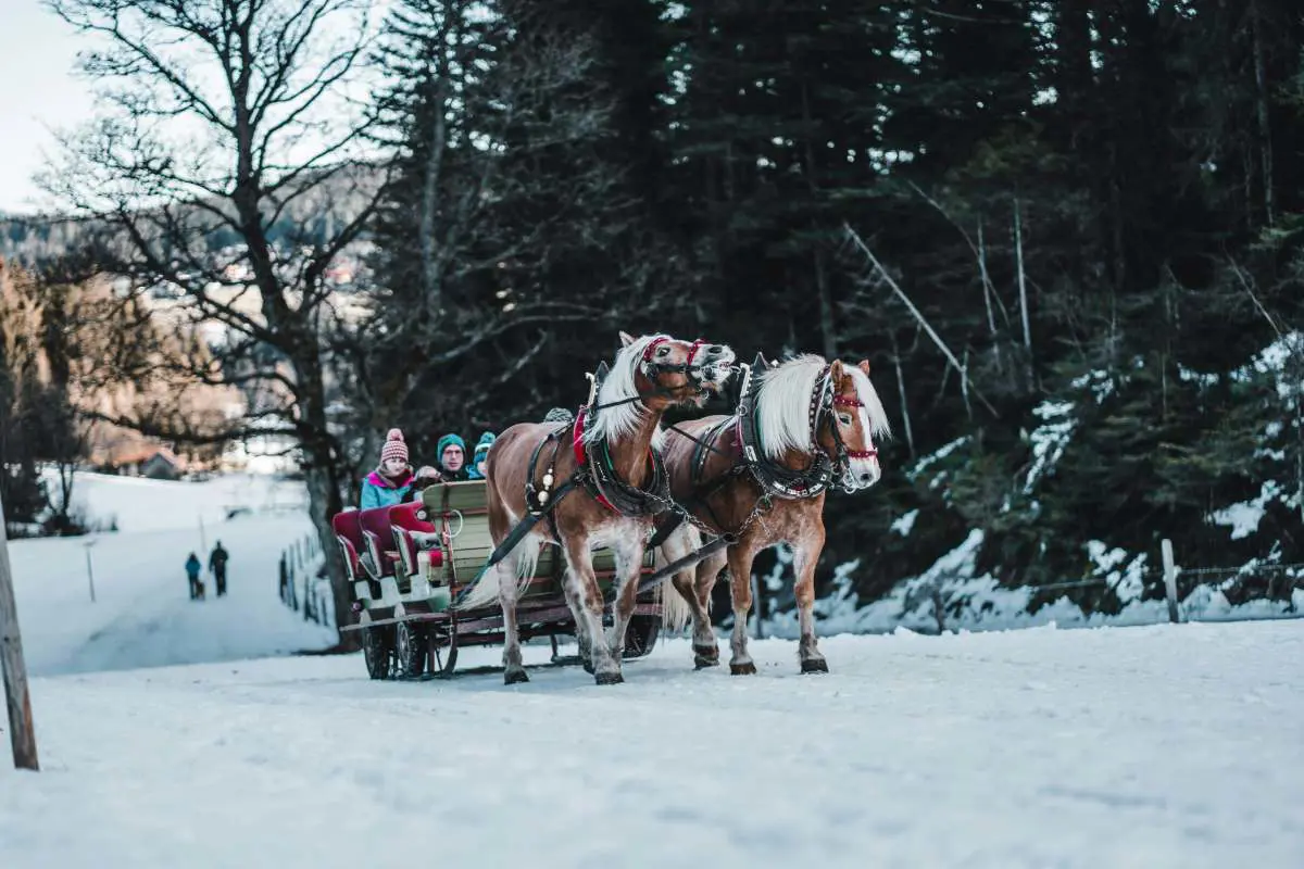 Horse drawn sleigh pulling a cart with a family through the snow in Austria. Photo by Ewoud Van den Branden on Unsplash.