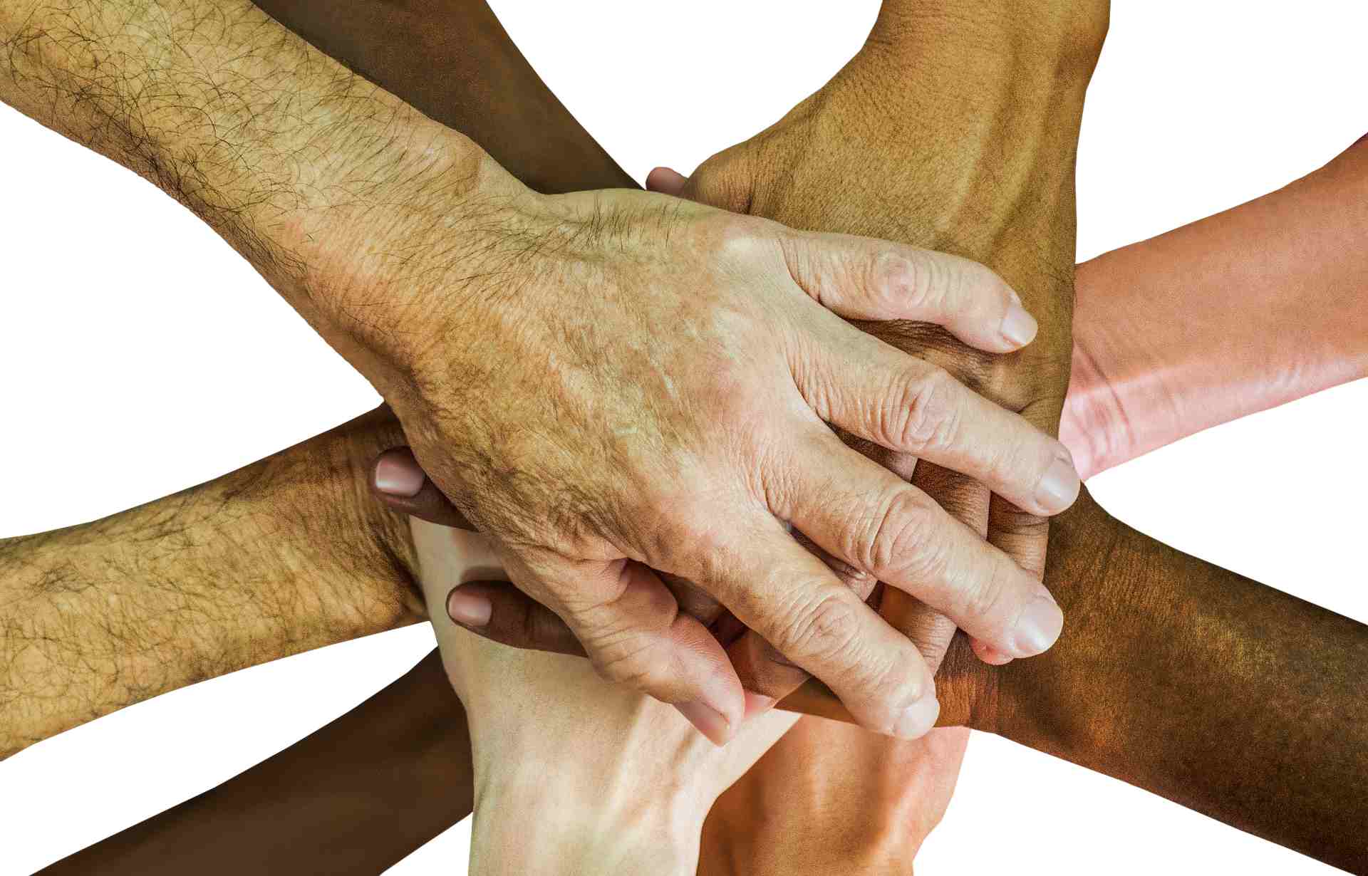 Partner mit uns werden