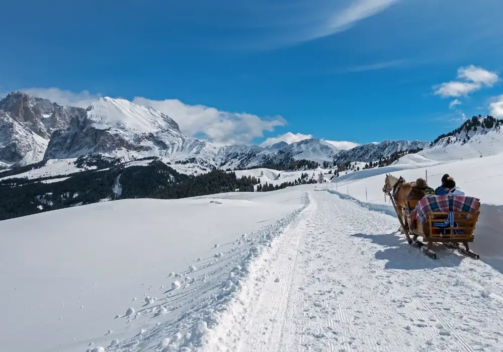 Pferdekutschenfahrt im Schnee