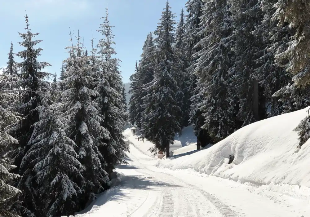 Ellmau | Ski Resort Review