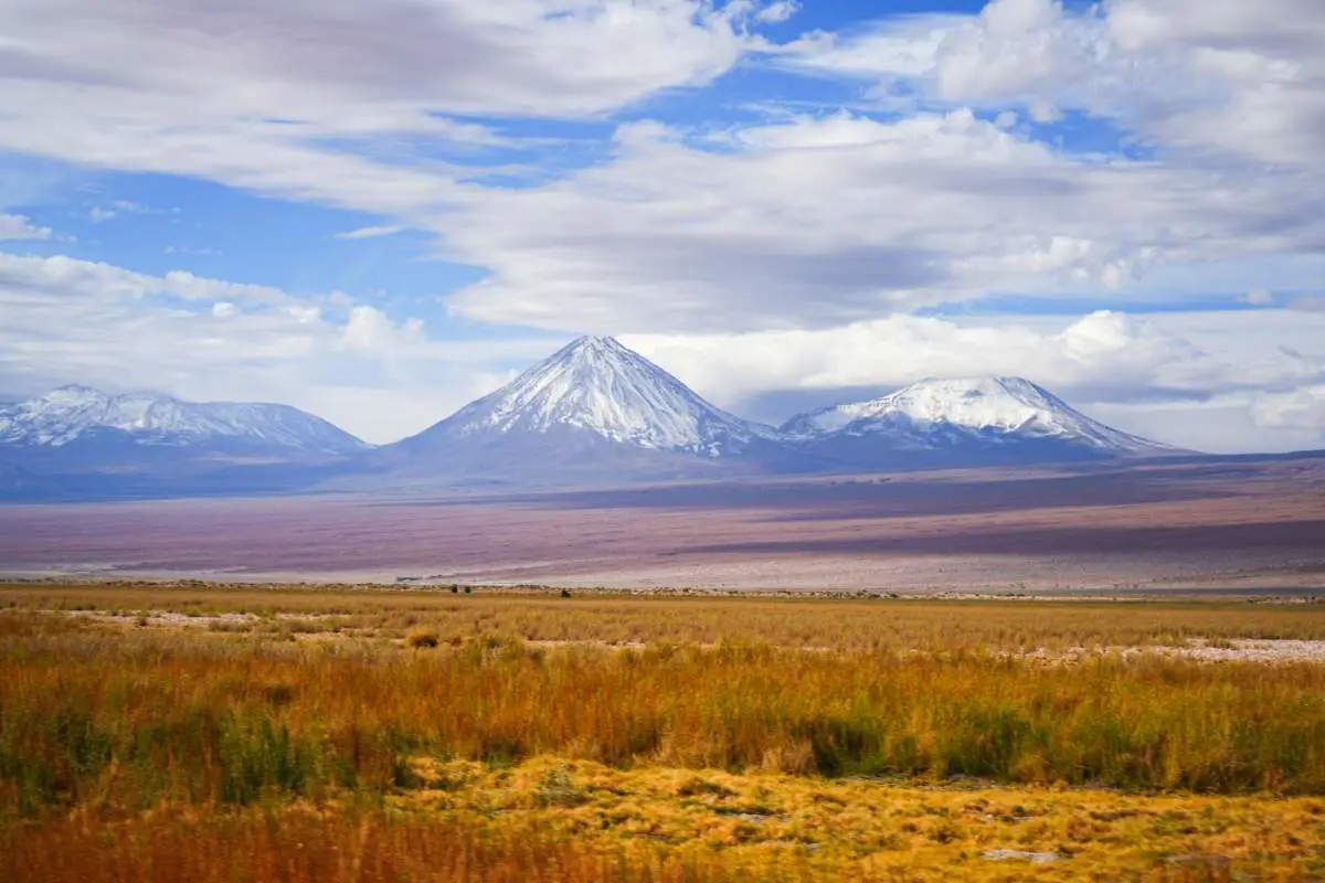 Golden grasslands with volcanic landscape outside San Pedro de Atacama, Chile. Photo by Becca Marsh.