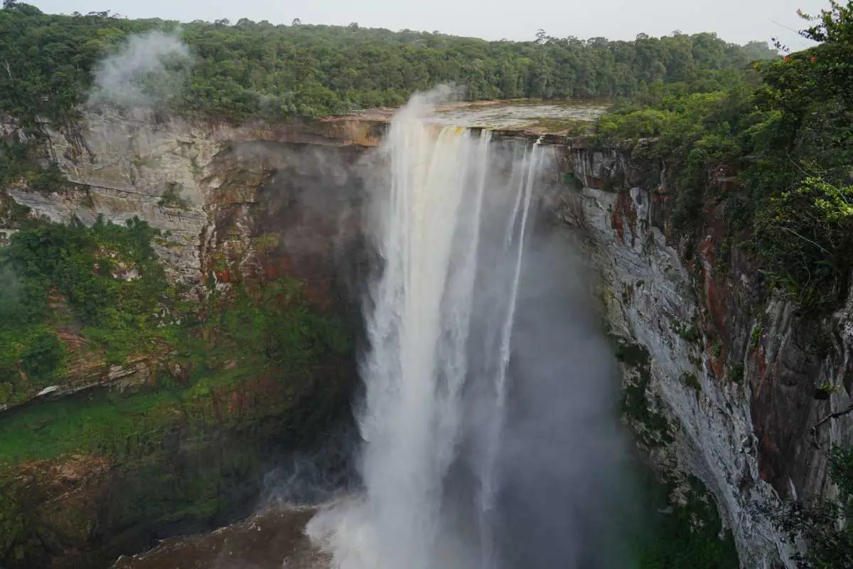 View of Kaieteur Falls from a viewpoint in the National Park. Photo by Becca Marsh