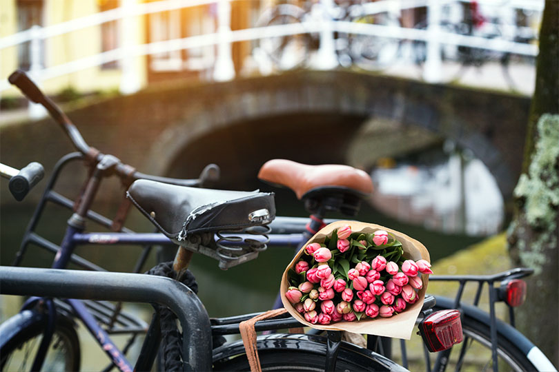 Amsterdam in bloei: fiets door het kleurrijke Tulpenfestival