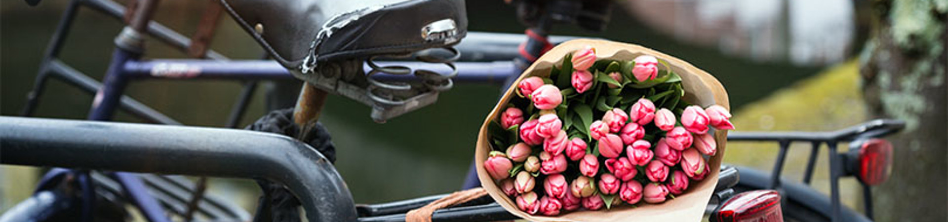 Amsterdam en fleurs : visite à vélo le festival coloré des tulipes