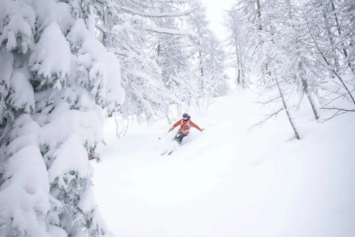 Off piste skiing through powdery snow at Les Arc's ski resort France. Photo by Alex Lange from Unsplash