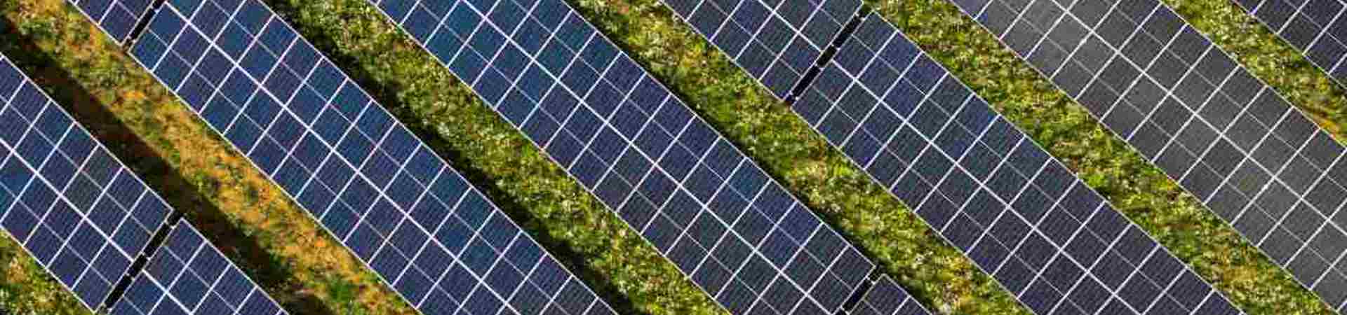 Wie Solarparkanlagen Ökotouristen anziehen